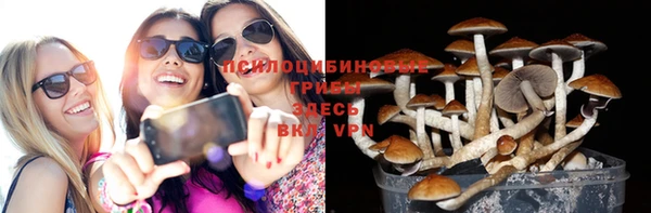 марки lsd Алексеевка