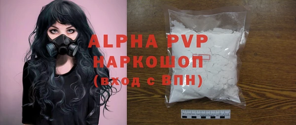 спиды Новозыбков