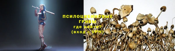 mdpv Алексин