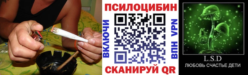 Псилоцибиновые грибы прущие грибы Ардатов